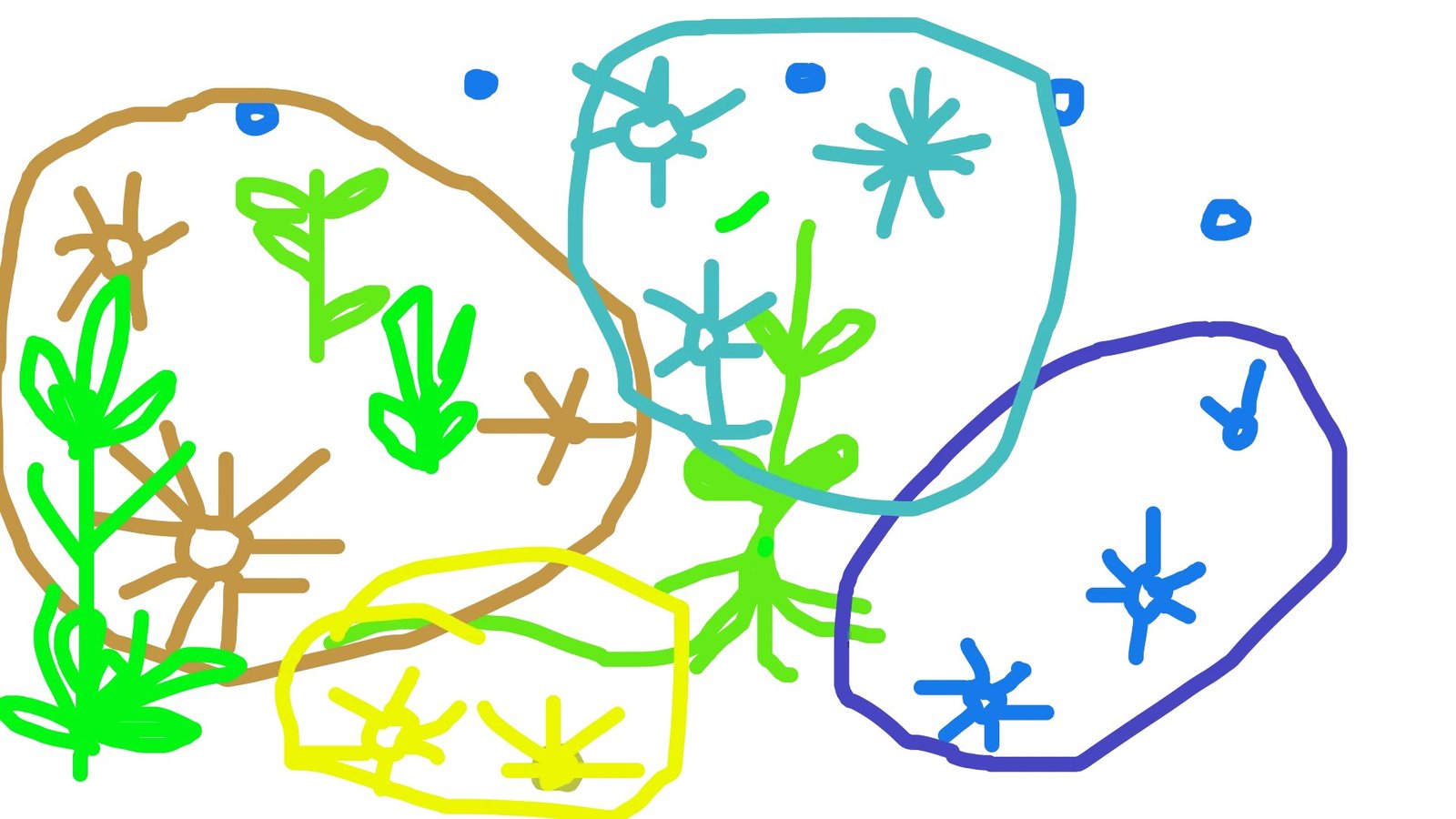 Dibujo colectivo: semillas, plantas y aguas compartidas