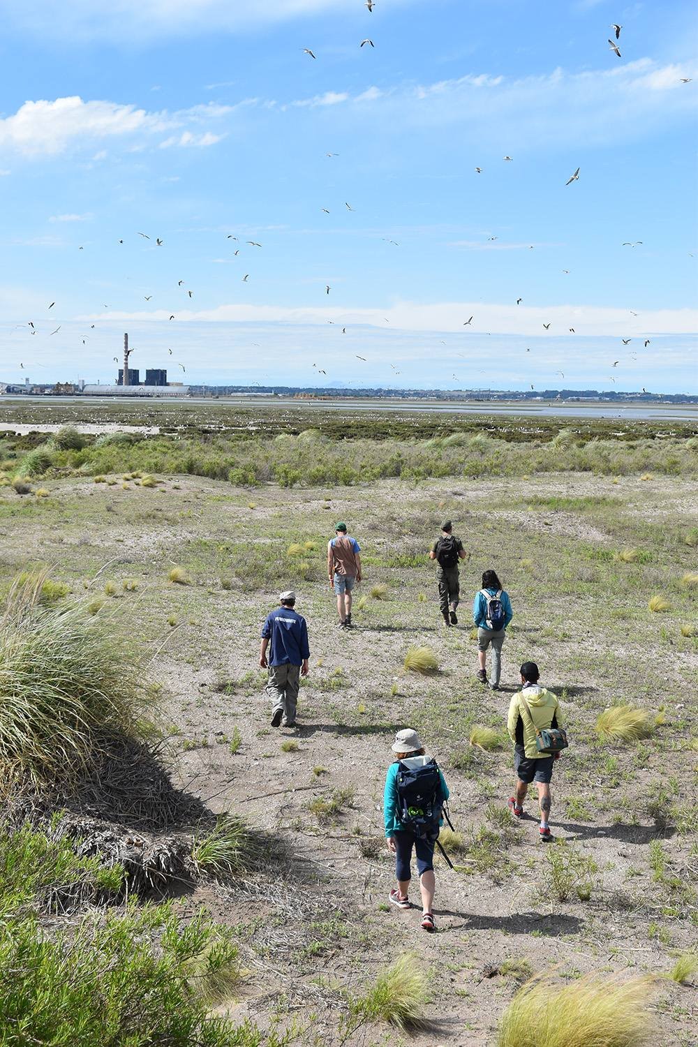 Recorrido por el estuario de Bahía Blanca, Isla Invisible