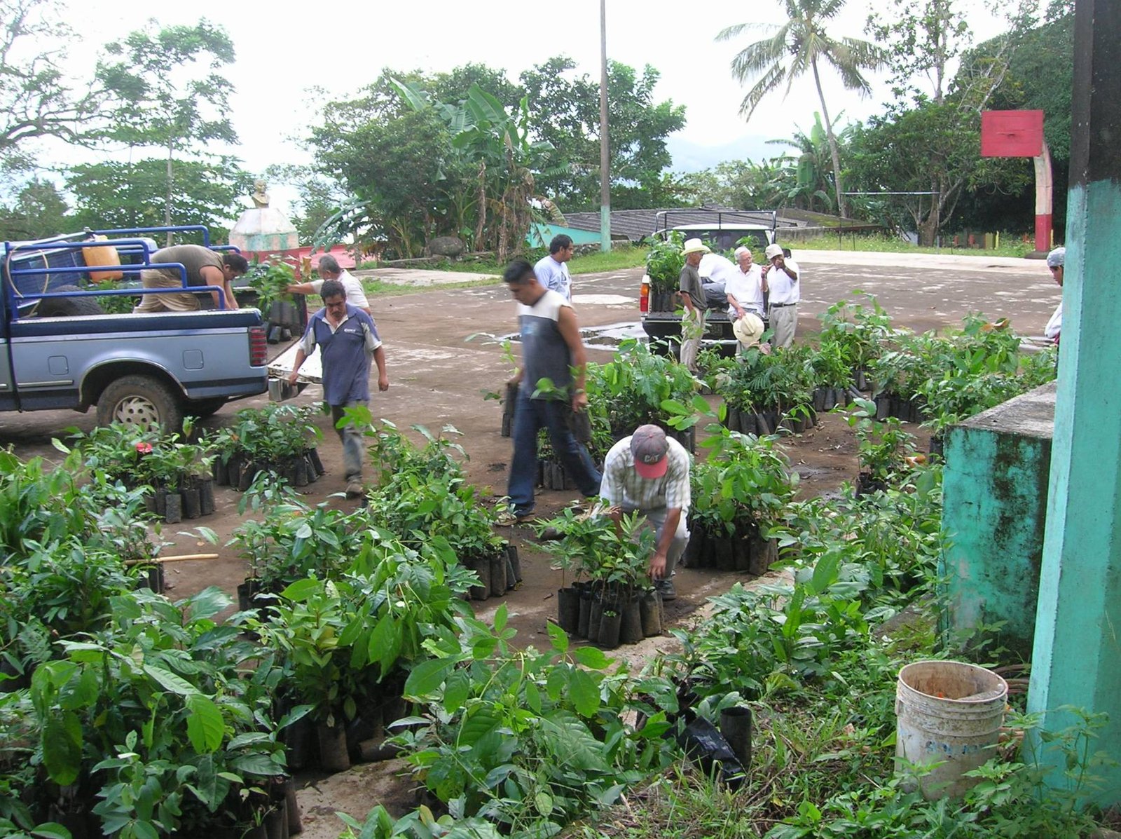 Entrega de plantas a ejidatarios en Los Tuxtlas